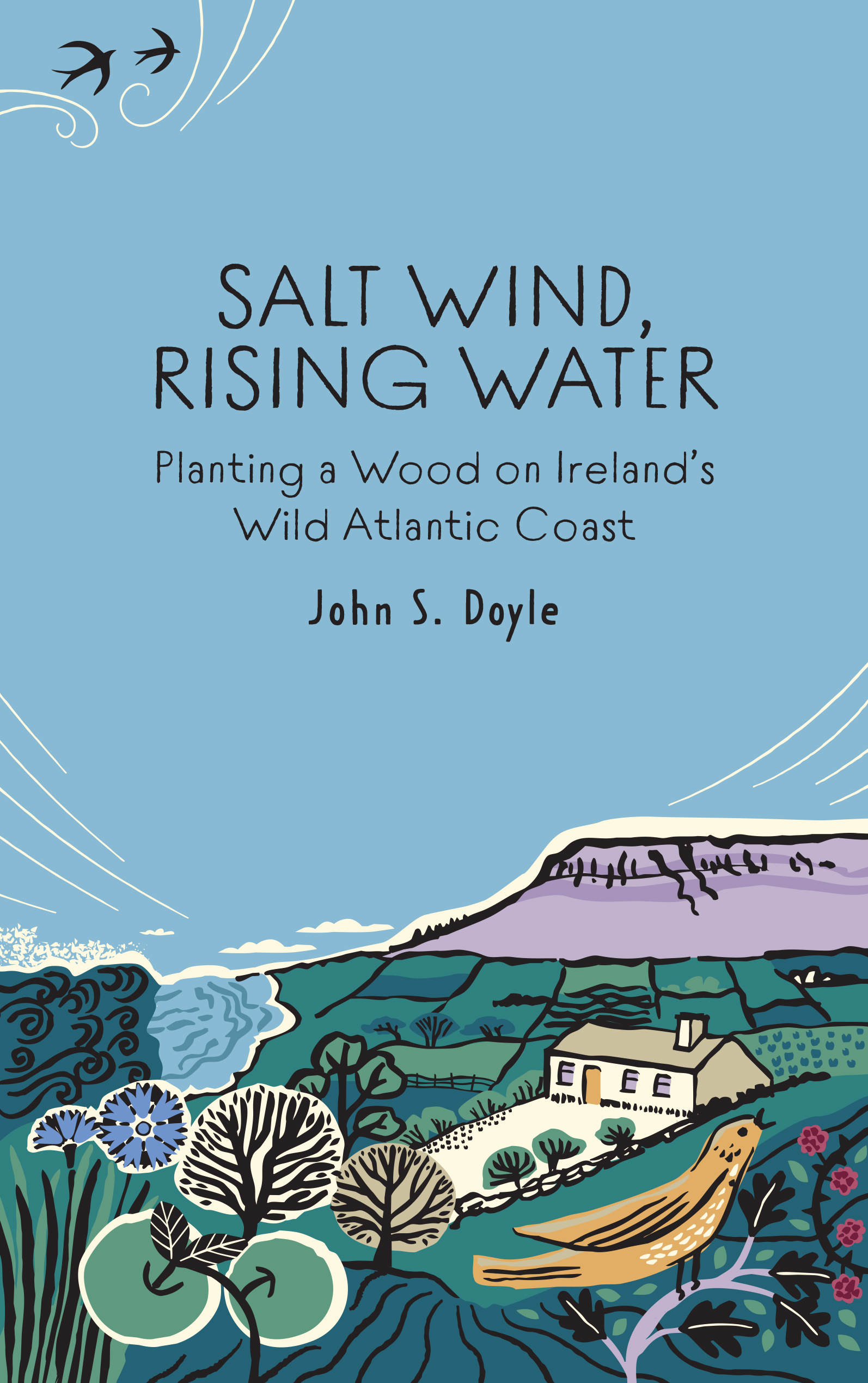Salt Wind, Rising Water: Planting a Wood on Ireland’s Wild Atlantic Coast